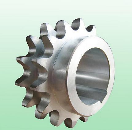 陜西弧齒 陜西弧齒